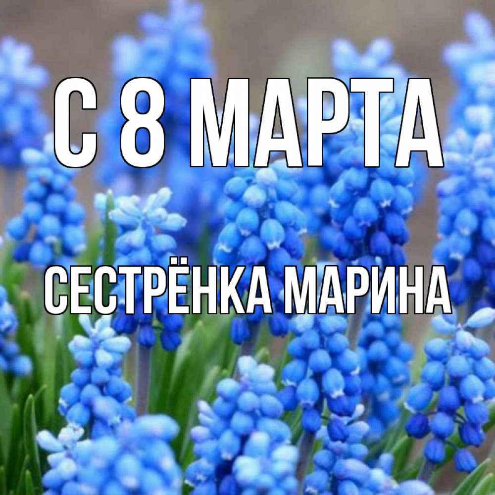 Открытка на каждый день с именем, Сестрёнка-Марина С 8 МАРТА Поздравительная открытка для женщин с цветами на праздничную дату Прикольная открытка с пожеланием онлайн скачать бесплатно 