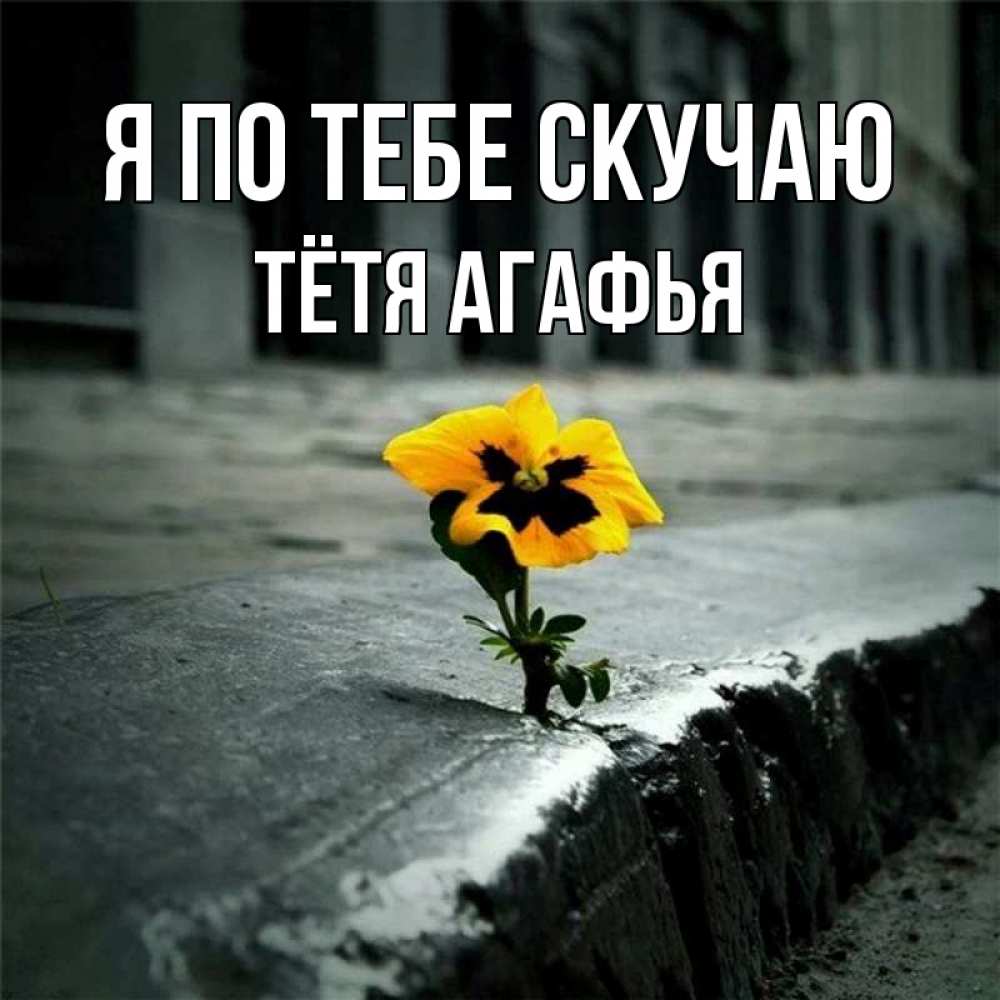 Открытка на каждый день с именем, Тётя-Агафья Я по тебе скучаю надеюсь будет лучше Прикольная открытка с пожеланием онлайн скачать бесплатно 