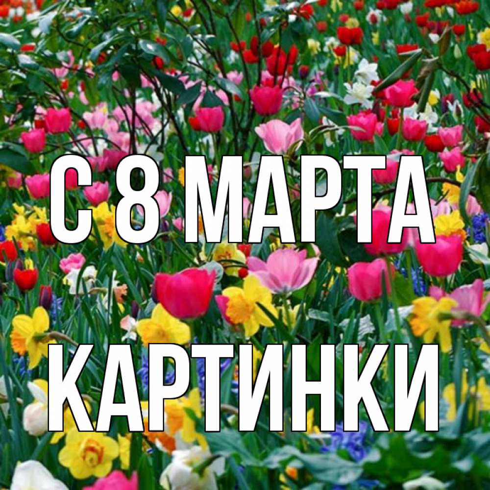 Открытка на каждый день с именем, Картинки С 8 МАРТА с международным женским днем поздравления для женщины Прикольная открытка с пожеланием онлайн скачать бесплатно 