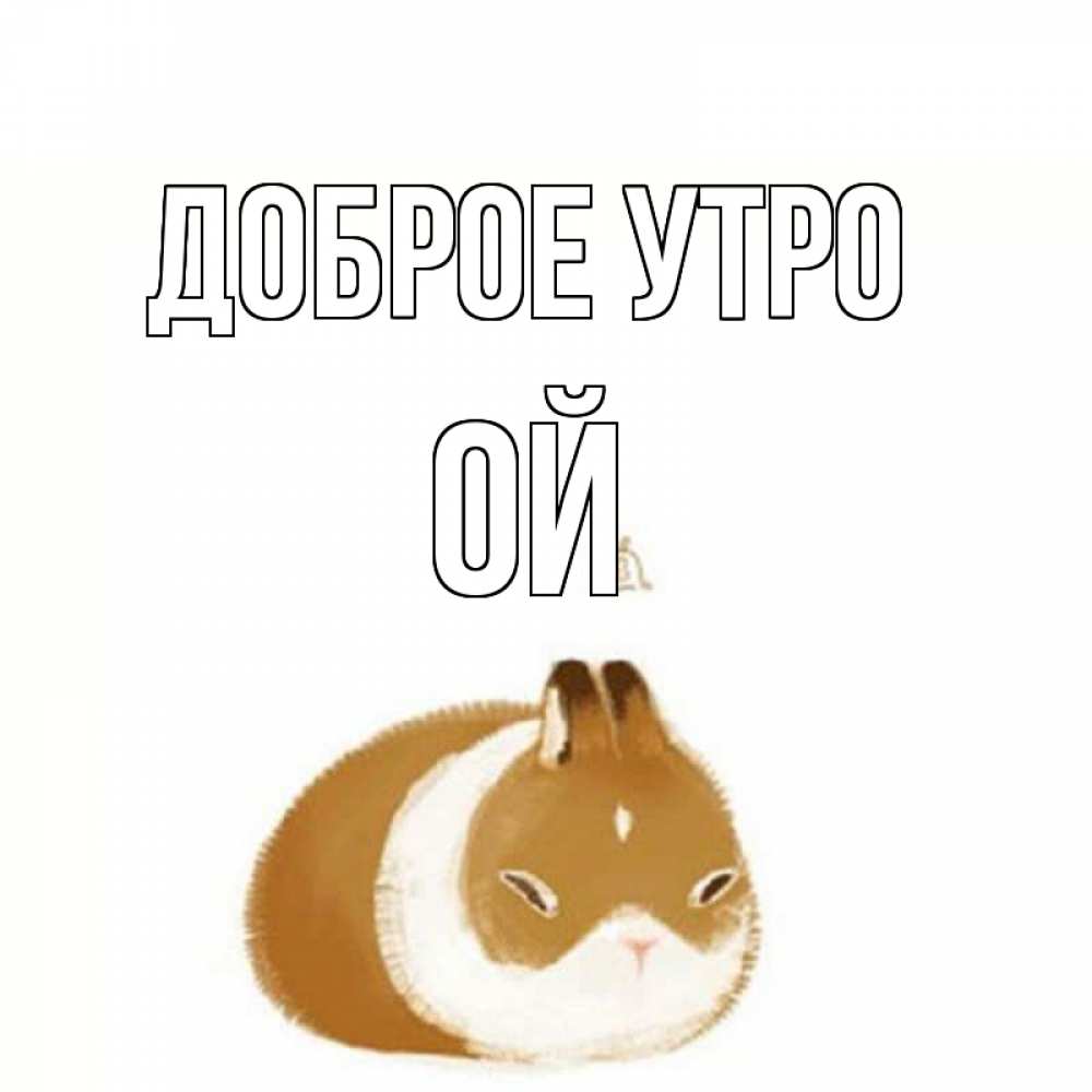 Открытка на каждый день с именем, Ой Доброе утро хорошего утречка Прикольная открытка с пожеланием онлайн скачать бесплатно 