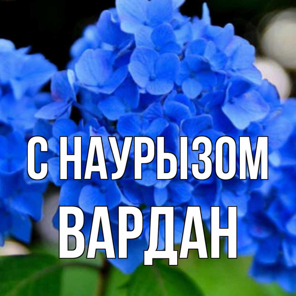 Открытка на каждый день с именем, Вардан С наурызом синие цветы Прикольная открытка с пожеланием онлайн скачать бесплатно 