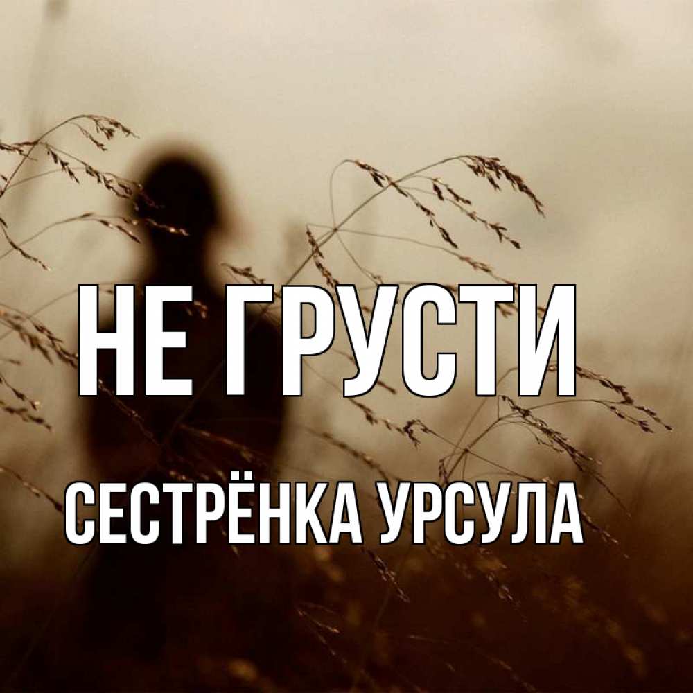 Открытка на каждый день с именем, Сестрёнка-Урсула Не грусти грусть Прикольная открытка с пожеланием онлайн скачать бесплатно 