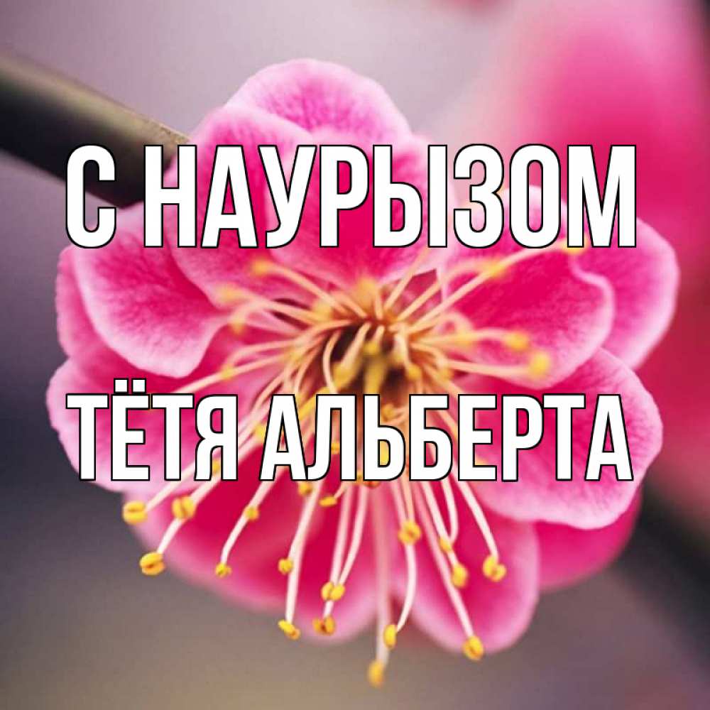 Открытка на каждый день с именем, Тётя-Альберта С наурызом цветы Прикольная открытка с пожеланием онлайн скачать бесплатно 