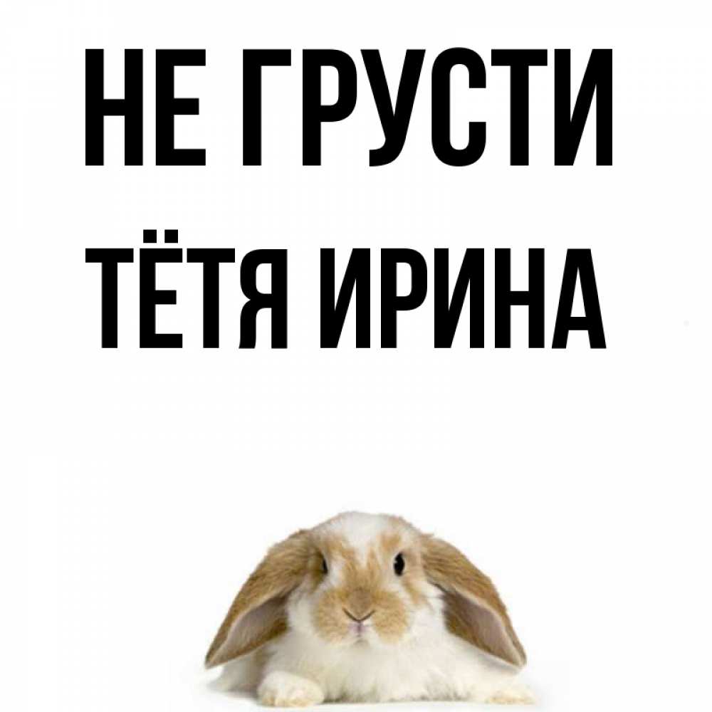 Открытка на каждый день с именем, Тётя-Ирина Не грусти коричнево белый заяц с большими ушками Прикольная открытка с пожеланием онлайн скачать бесплатно 