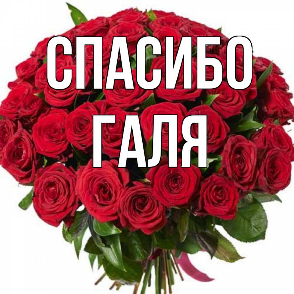 Цветы для галины картинки