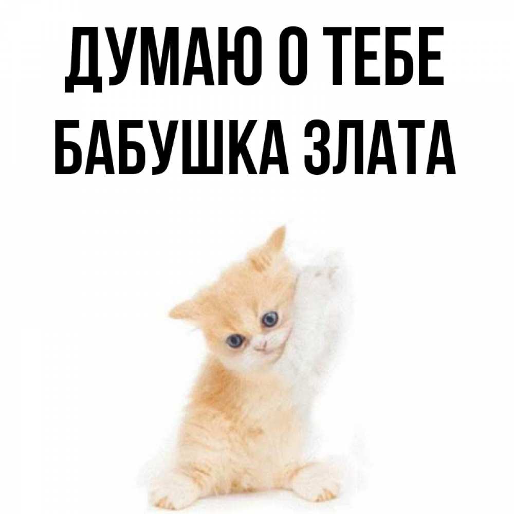Открытка на каждый день с именем, Бабушка-Злата Думаю о тебе зверушки и милота Прикольная открытка с пожеланием онлайн скачать бесплатно 