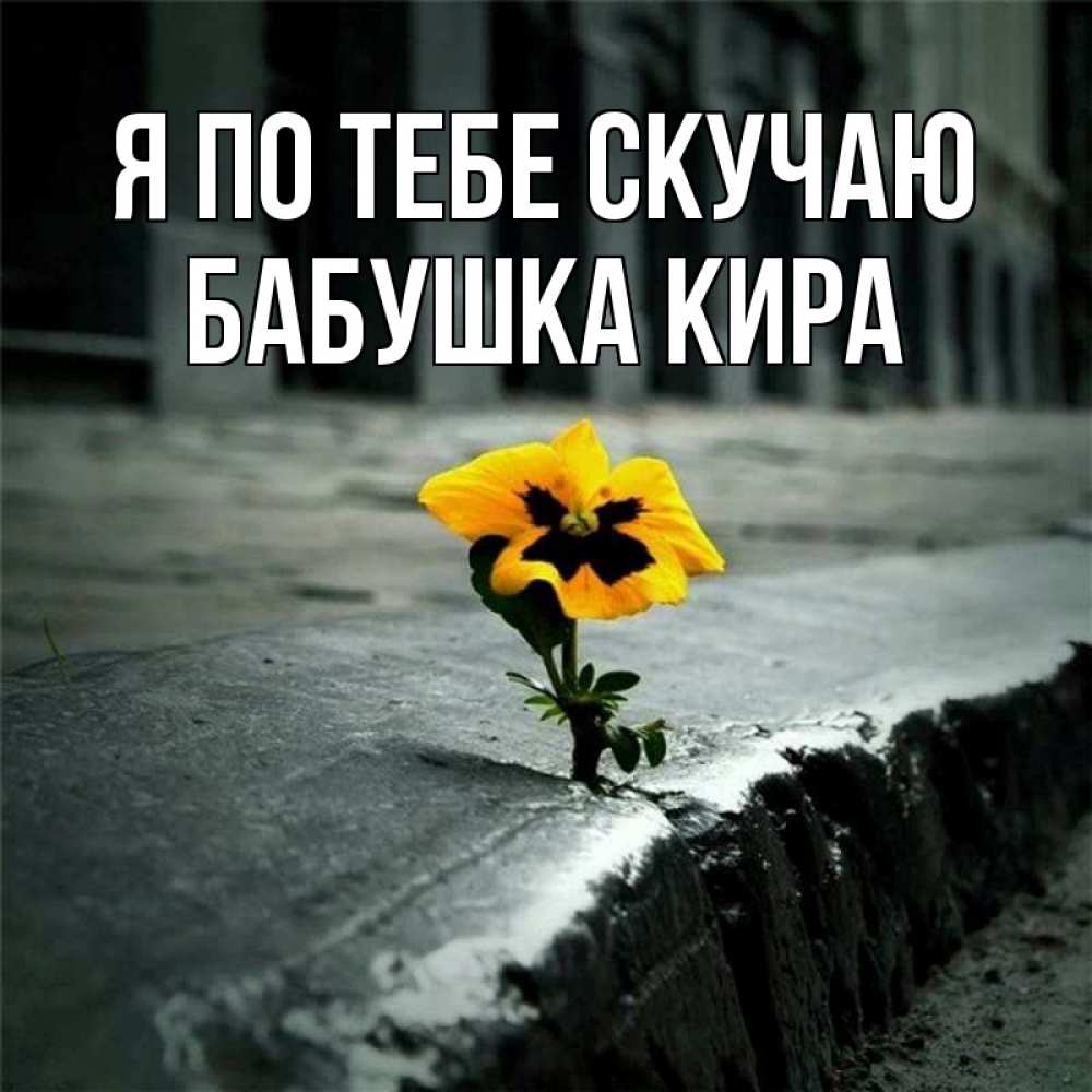 Открытка на каждый день с именем, Бабушка-Кира Я по тебе скучаю надеюсь будет лучше Прикольная открытка с пожеланием онлайн скачать бесплатно 