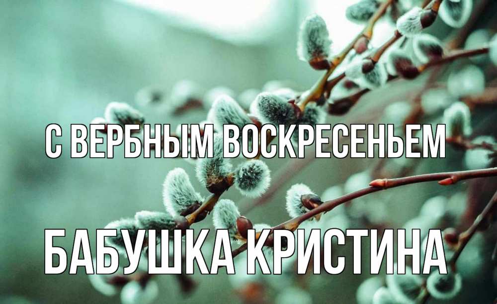 Открытка на каждый день с именем, Бабушка-Кристина С вербным воскресеньем верба Прикольная открытка с пожеланием онлайн скачать бесплатно 