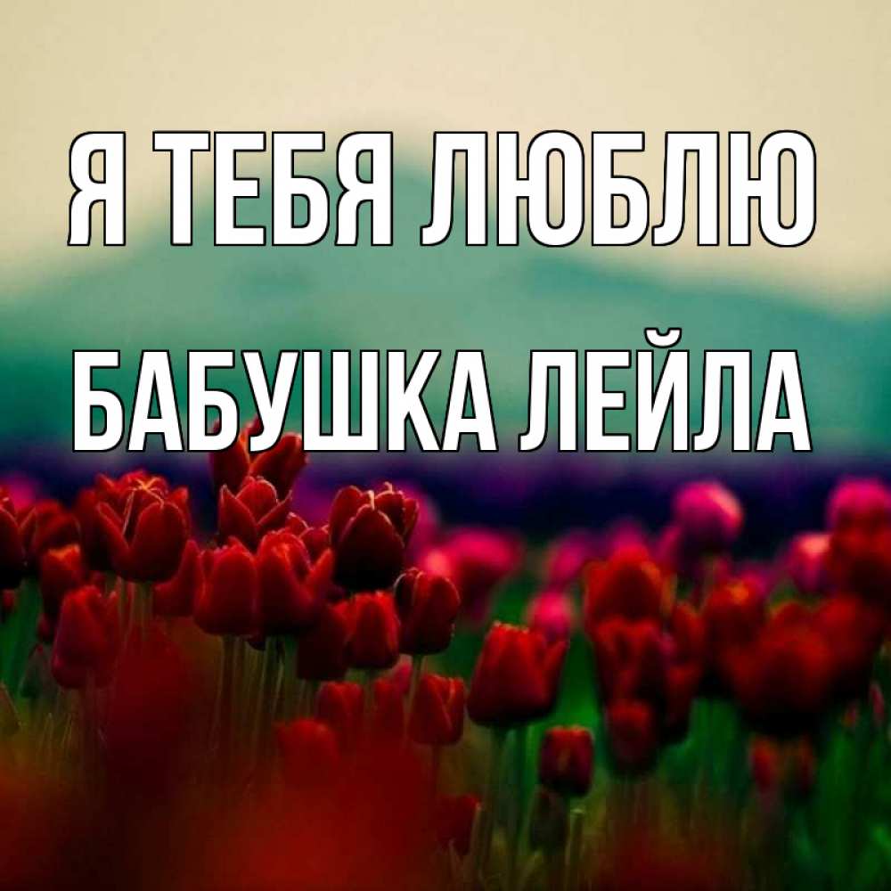 Открытка на каждый день с именем, Бабушка-Лейла Я тебя люблю тюльпаны 4 Прикольная открытка с пожеланием онлайн скачать бесплатно 