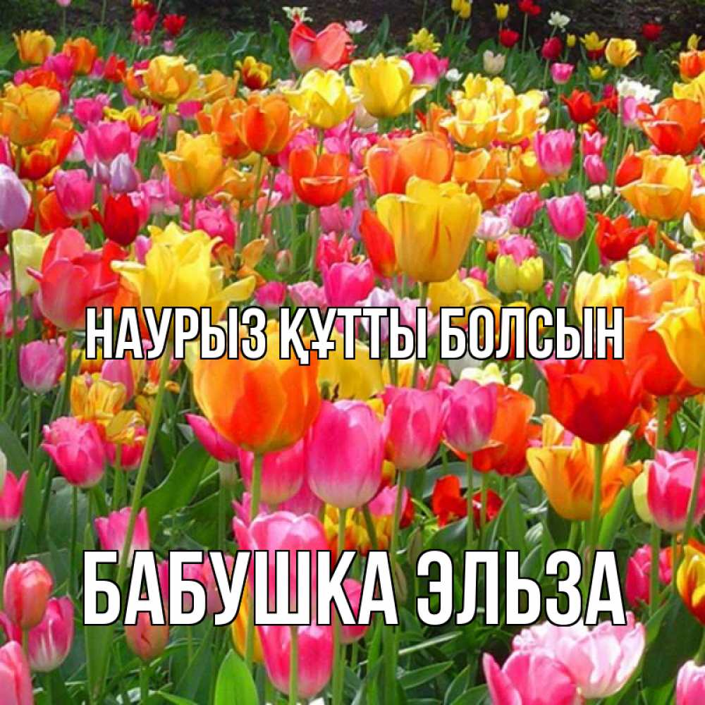 Открытка на каждый день с именем, Бабушка-Эльза Наурыз құтты болсын на наурыз  ура ура Прикольная открытка с пожеланием онлайн скачать бесплатно 