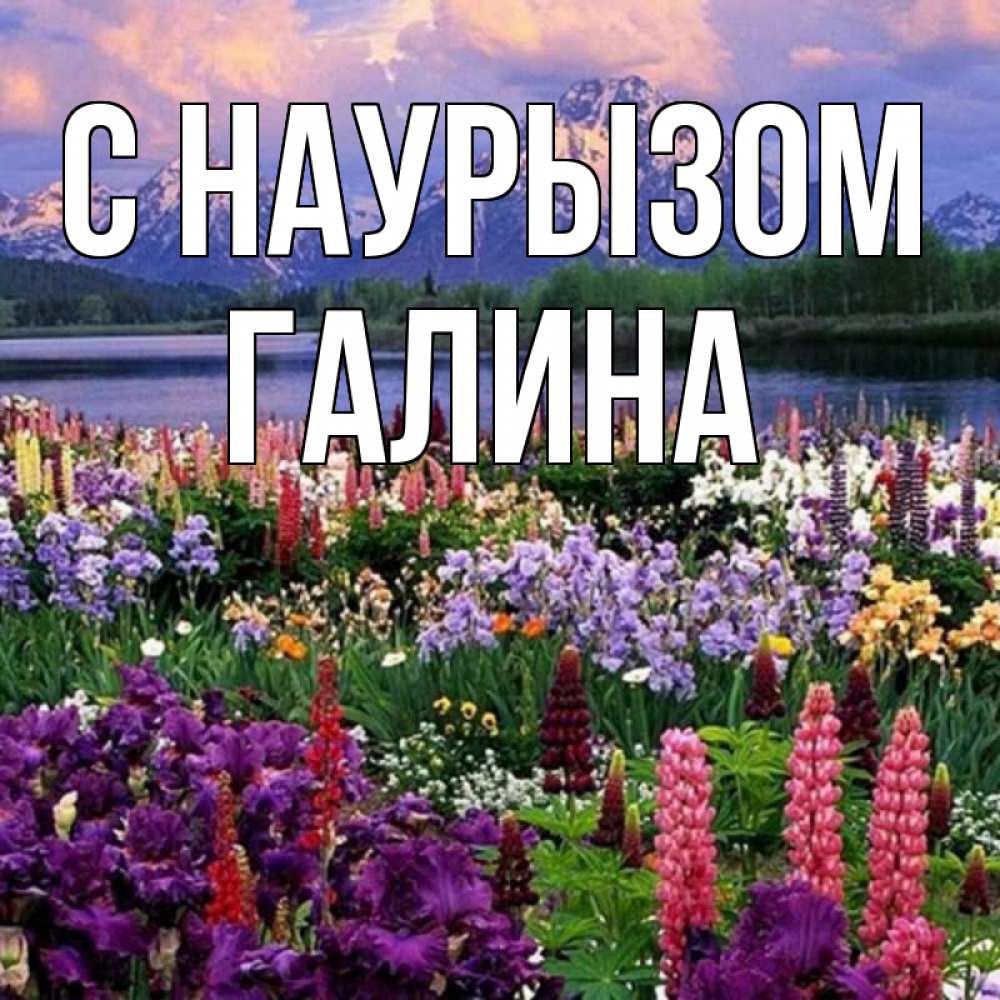 Открытка на каждый день с именем, Галина С наурызом праздник весны наурыз Прикольная открытка с пожеланием онлайн скачать бесплатно 