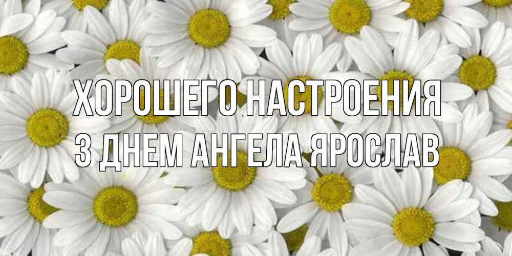 Открытка на каждый день с именем, З-Днем-Ангела-Ярослав Хорошего настроения поляна ромашек Прикольная открытка с пожеланием онлайн скачать бесплатно 