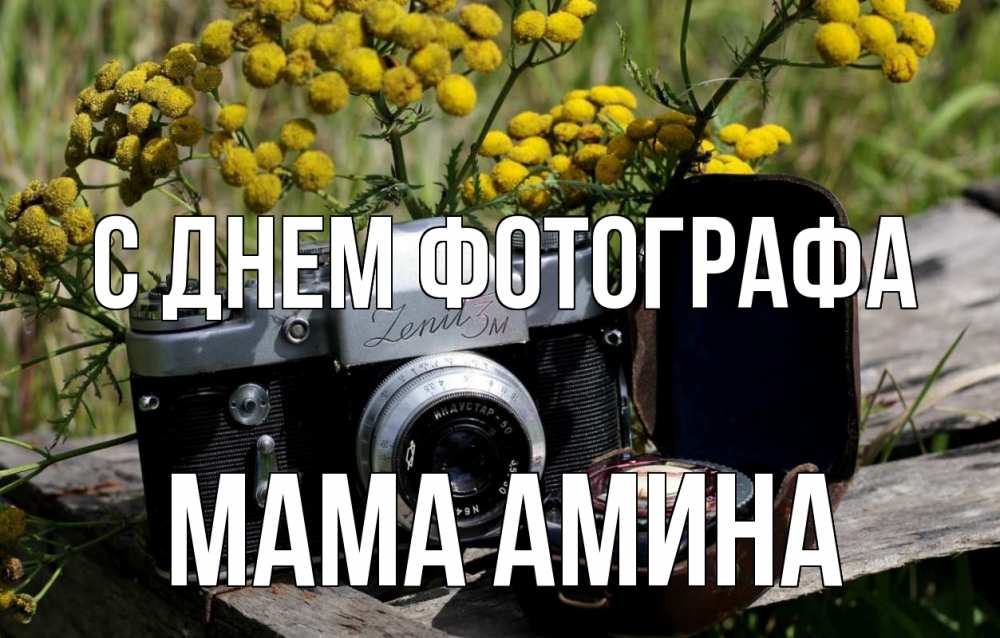 Открытка на каждый день с именем, Мама-Амина С днем фотографа с днем фотографа Прикольная открытка с пожеланием онлайн скачать бесплатно 