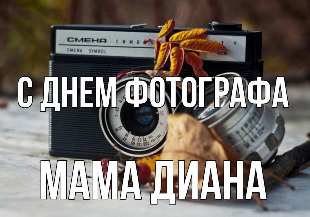 Открытка на каждый день с именем, Мама-Диана С днем фотографа с днем фотографа Прикольная открытка с пожеланием онлайн скачать бесплатно 