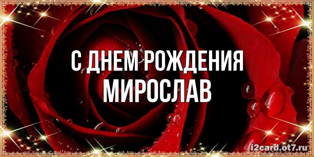 Открытка на каждый день с именем, Мирослав С днем рождения цветок в росе на день рождения Прикольная открытка с пожеланием онлайн скачать бесплатно 