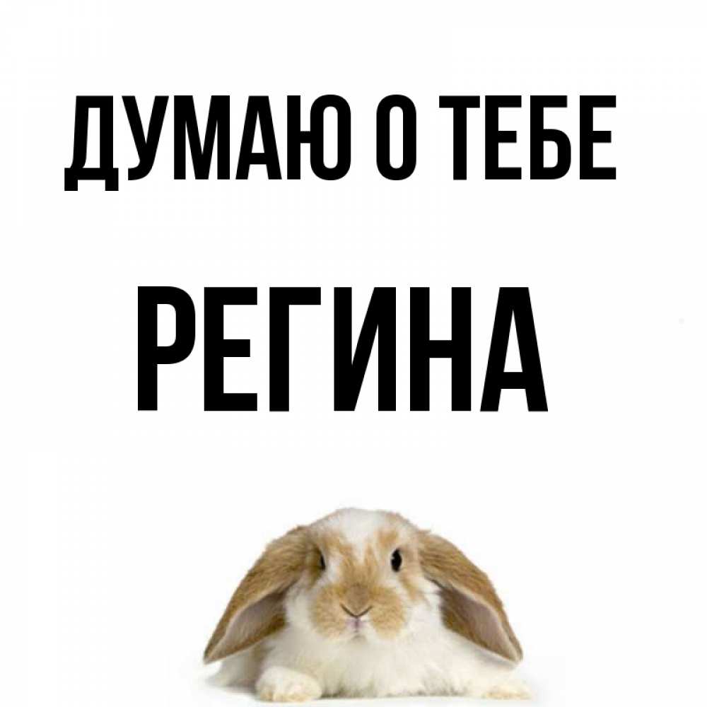 Открытка на каждый день с именем, Регина Думаю о тебе подписать своими руками онлайн Прикольная открытка с пожеланием онлайн скачать бесплатно 