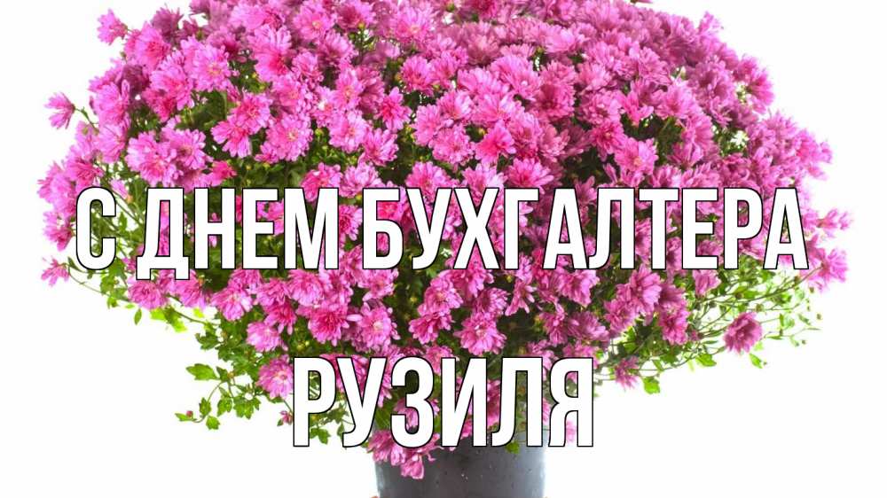 Открытка на каждый день с именем, Рузиля С днем бухгалтера с днем бухгалтера Прикольная открытка с пожеланием онлайн скачать бесплатно 