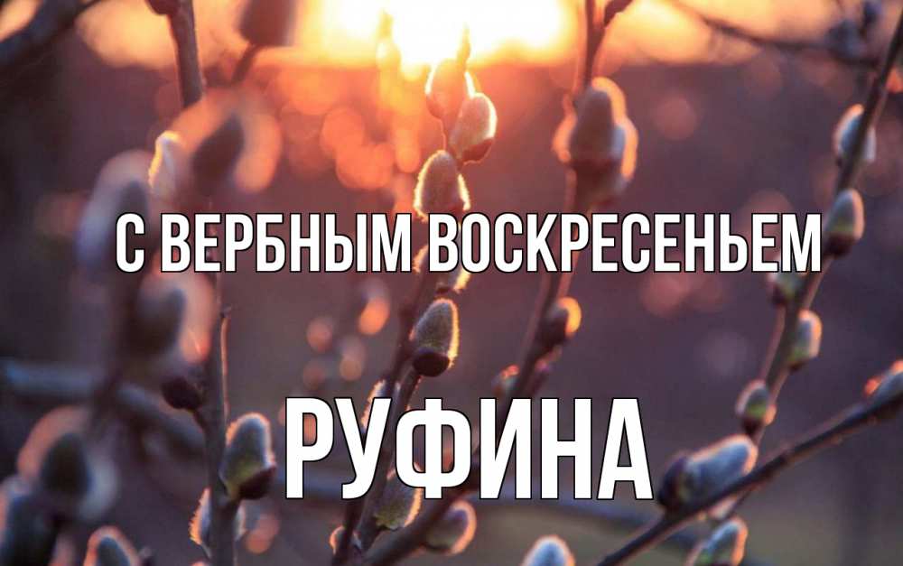 Открытка на каждый день с именем, Руфина С вербным воскресеньем верба Прикольная открытка с пожеланием онлайн скачать бесплатно 