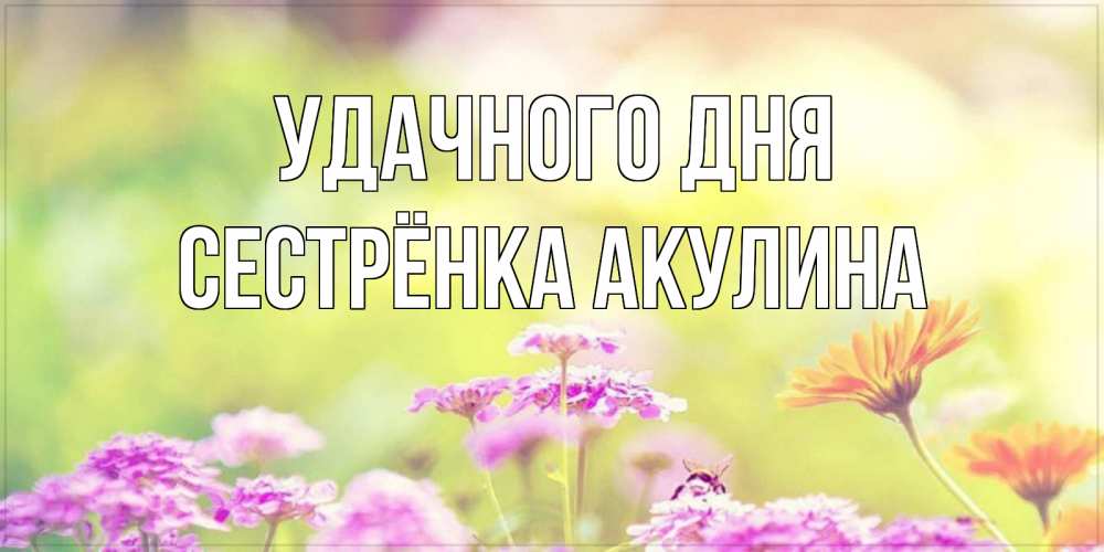Открытка на каждый день с именем, Сестрёнка-Акулина Удачного дня красивая открытка с летней темой Прикольная открытка с пожеланием онлайн скачать бесплатно 