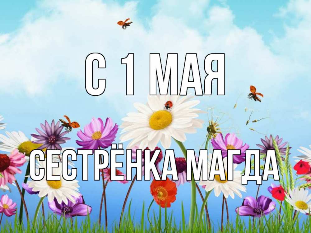 Открытка на каждый день с именем, Сестрёнка-Магда С 1 мая С 1 мая Прикольная открытка с пожеланием онлайн скачать бесплатно 
