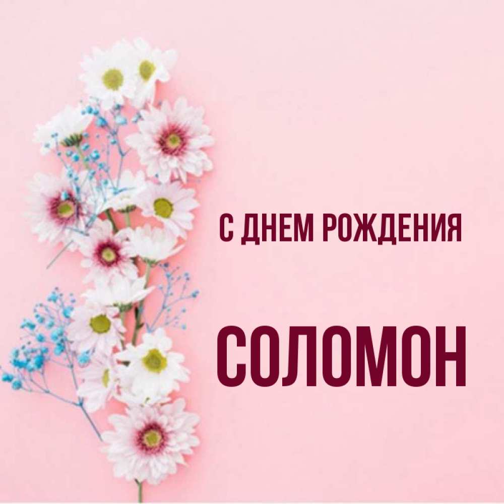 Открытка на каждый день с именем, Соломон С днем рождения Родная моя с днем рождения тебя картинка с цветами белыми и голубыми Прикольная открытка с пожеланием онлайн скачать бесплатно 