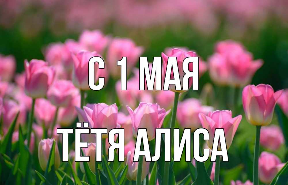 Открытка на каждый день с именем, Тётя-Алиса С 1 мая С 1 мая Прикольная открытка с пожеланием онлайн скачать бесплатно 
