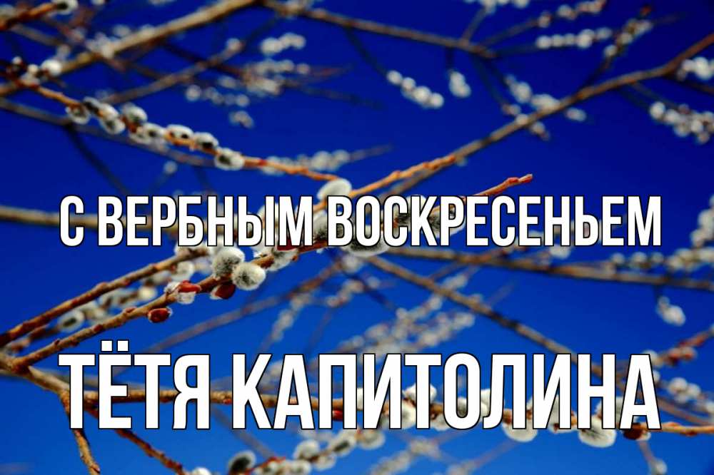 Открытка на каждый день с именем, Тётя-Капитолина С вербным воскресеньем верба Прикольная открытка с пожеланием онлайн скачать бесплатно 