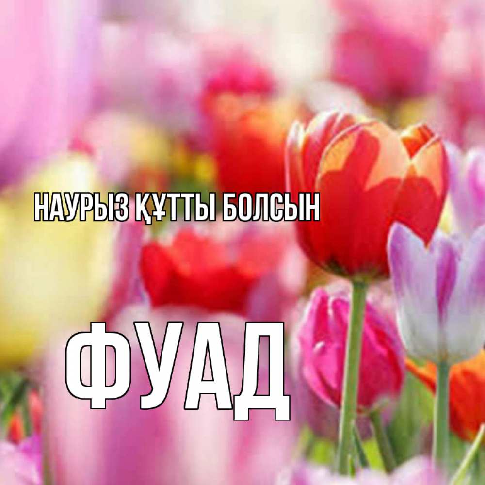 Открытка на каждый день с именем, Фуад Наурыз құтты болсын на наурыз  2 Прикольная открытка с пожеланием онлайн скачать бесплатно 