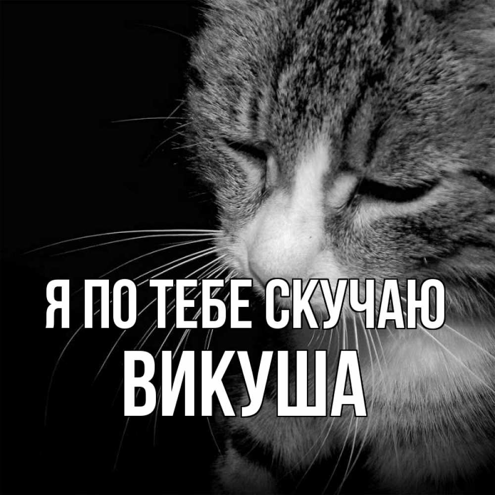 Картинка Я по тебе скучаю, Викуша