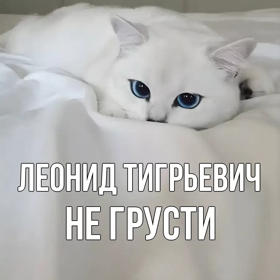Картинка Не грусти, Леонид Тигрьевич