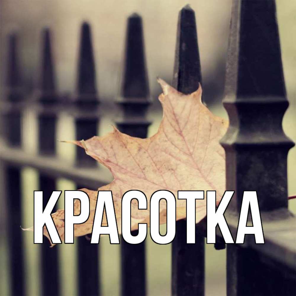 Открытка на каждый день с именем, красотка Главная лист клена Прикольная открытка с пожеланием онлайн скачать бесплатно 