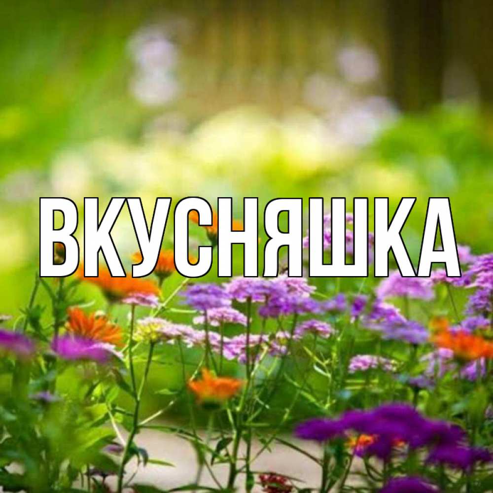 Открытка на каждый день с именем, Вкусняшка Главная цветы Прикольная открытка с пожеланием онлайн скачать бесплатно 