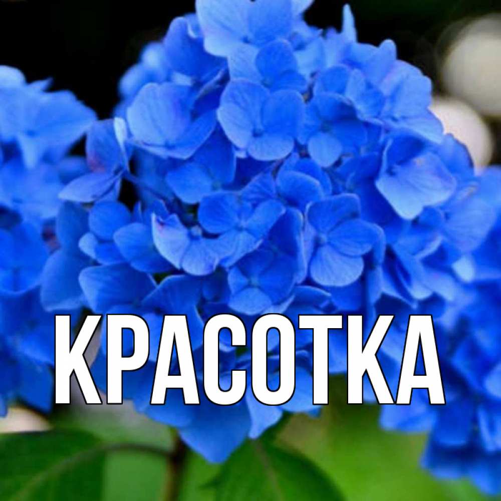 Картинка  с именем , красотка