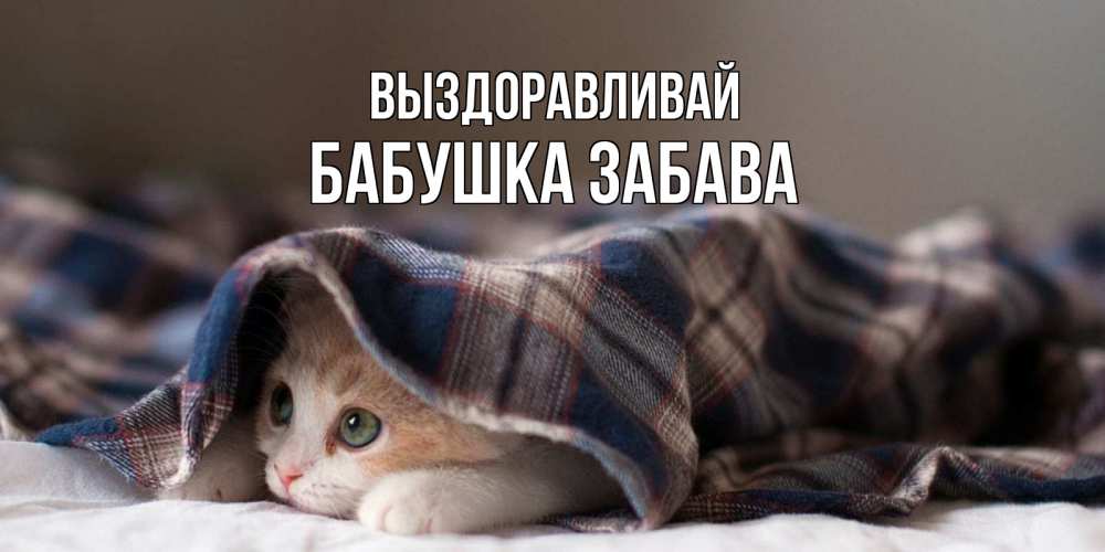 Открытка на каждый день с именем, Бабушка-Забава Выздоравливай не болейте с котиком Прикольная открытка с пожеланием онлайн скачать бесплатно 