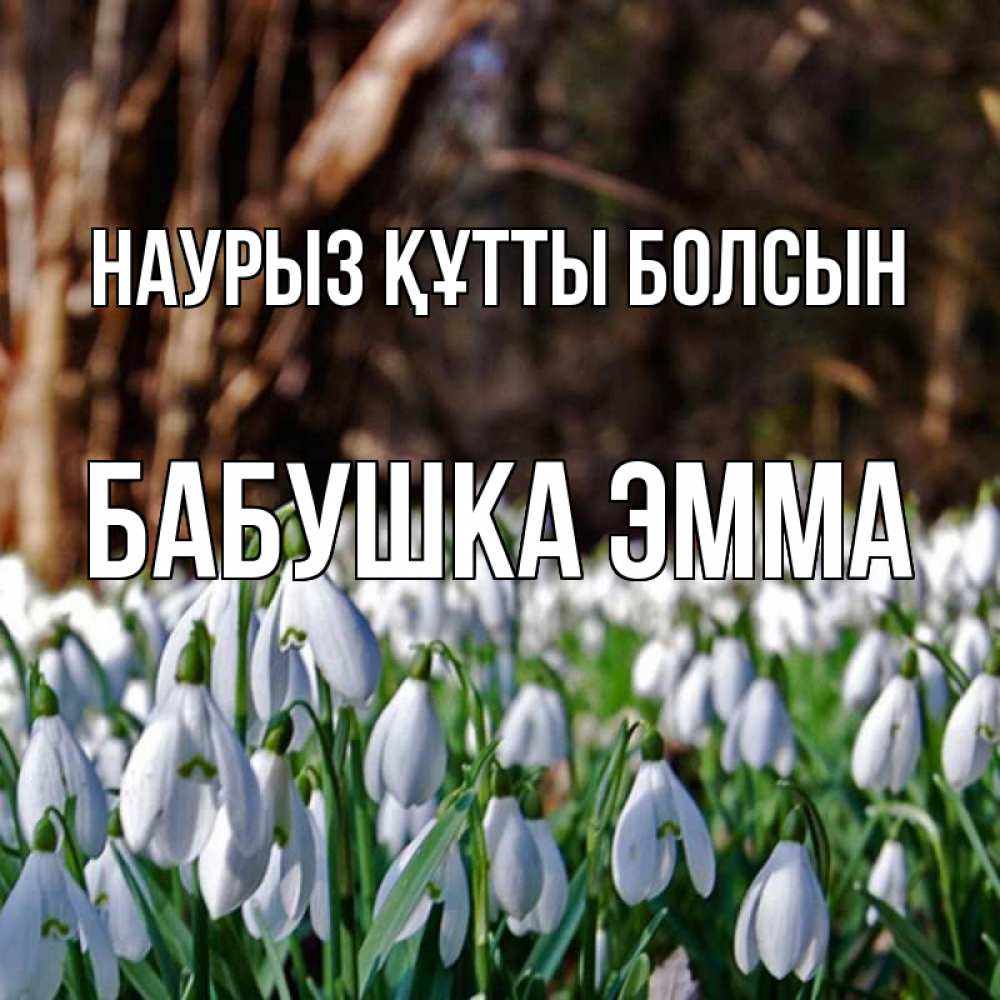 Открытка на каждый день с именем, Бабушка-Эмма Наурыз құтты болсын с подснежниками 1 Прикольная открытка с пожеланием онлайн скачать бесплатно 