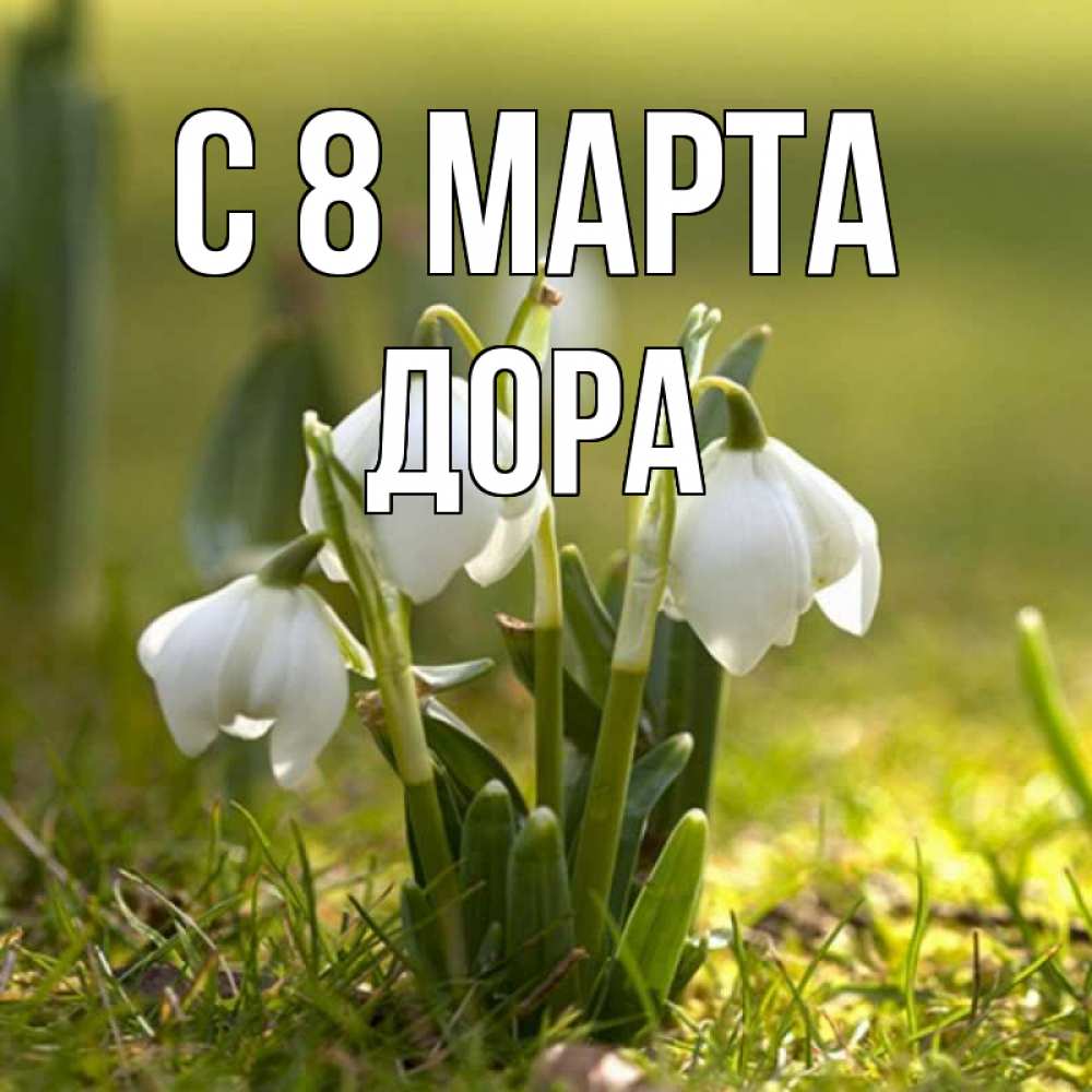 Открытка на каждый день с именем, Дора С 8 МАРТА ранние цветы 2 Прикольная открытка с пожеланием онлайн скачать бесплатно 
