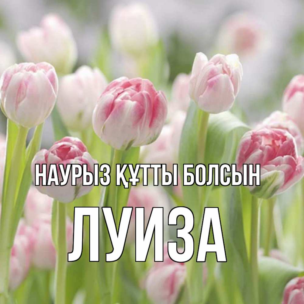 Открытка на каждый день с именем, Луиза Наурыз құтты болсын цветы Прикольная открытка с пожеланием онлайн скачать бесплатно 