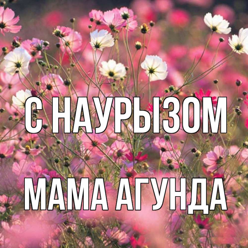 Открытка на каждый день с именем, Мама-Агунда С наурызом красиво 1 Прикольная открытка с пожеланием онлайн скачать бесплатно 