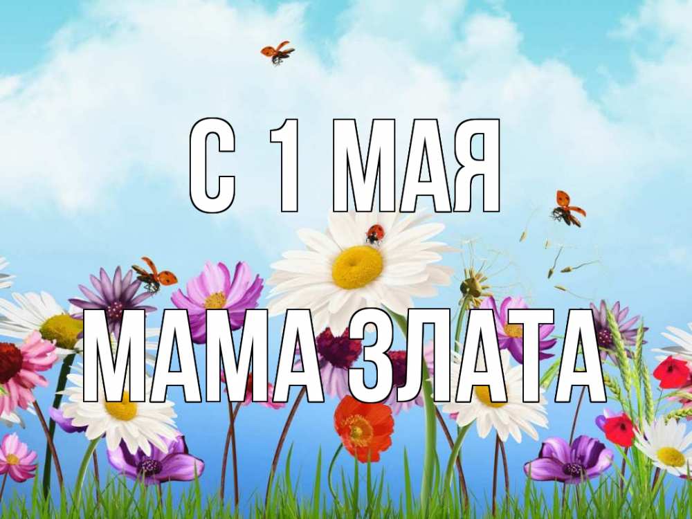 Открытка на каждый день с именем, Мама-Злата С 1 мая С 1 мая Прикольная открытка с пожеланием онлайн скачать бесплатно 