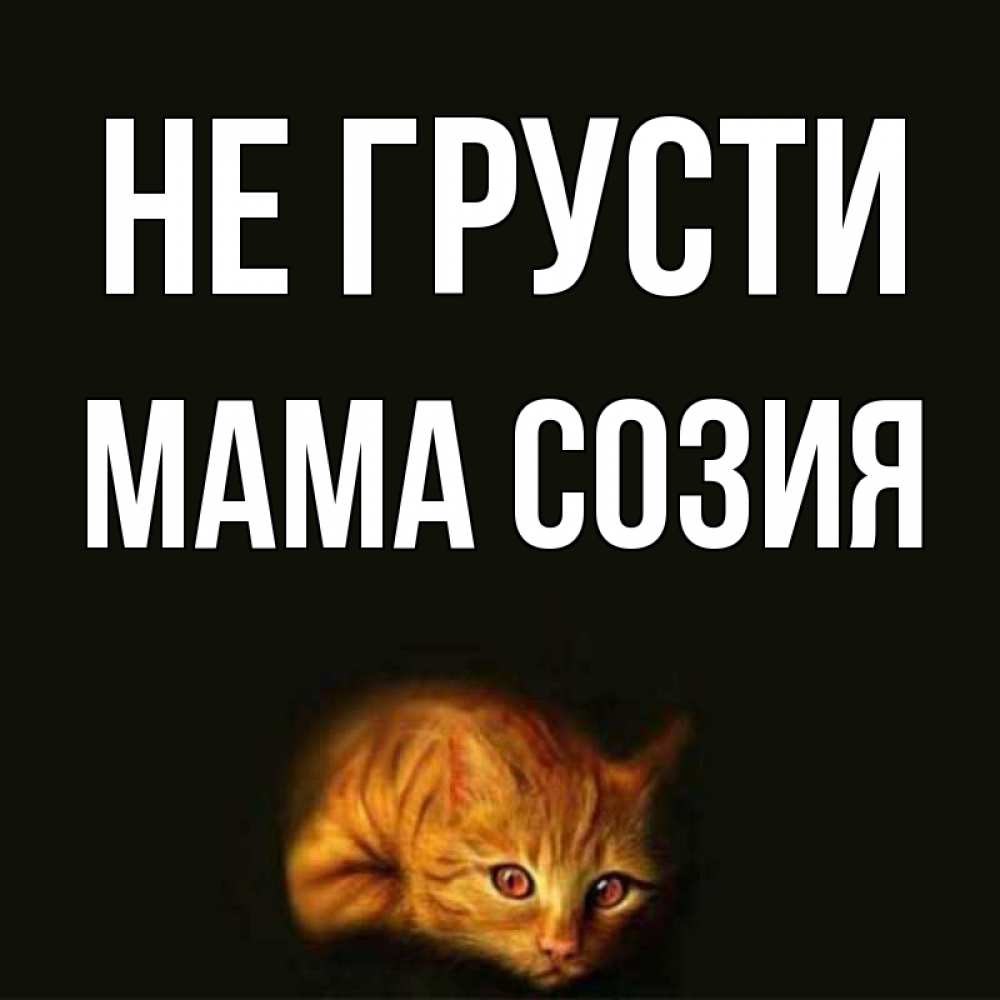 Открытка на каждый день с именем, Мама-Созия Не грусти лежащий кот в темноте Прикольная открытка с пожеланием онлайн скачать бесплатно 