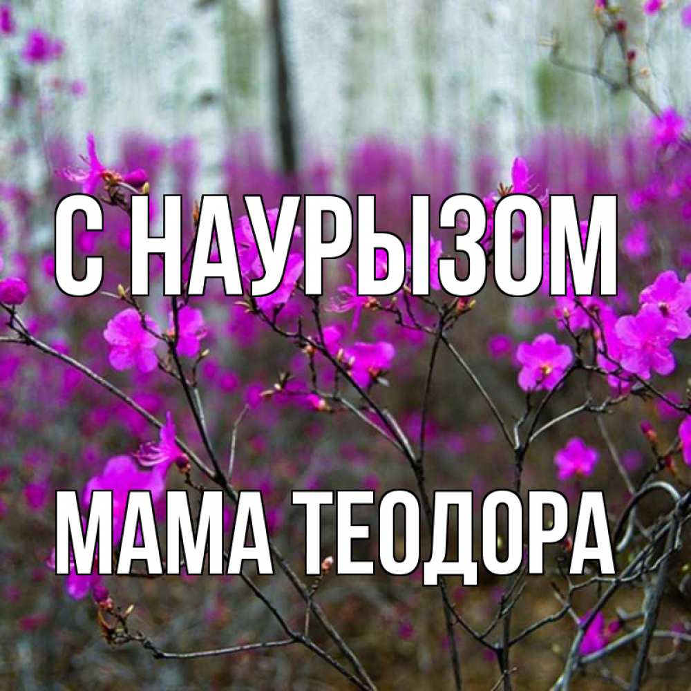 Открытка на каждый день с именем, Мама-Теодора С наурызом дикие цветы Прикольная открытка с пожеланием онлайн скачать бесплатно 