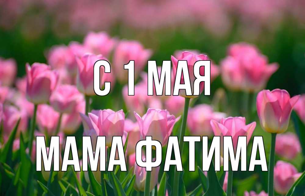 Открытка на каждый день с именем, Мама-Фатима С 1 мая С 1 мая Прикольная открытка с пожеланием онлайн скачать бесплатно 