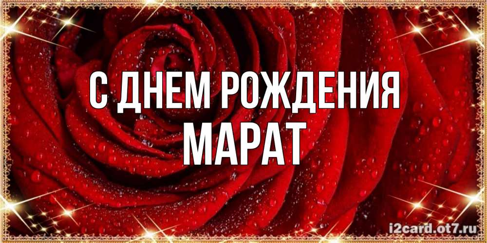 Открытка на каждый день с именем, Марат С днем рождения роса на розе блестящая в лучах солнца Прикольная открытка с пожеланием онлайн скачать бесплатно 