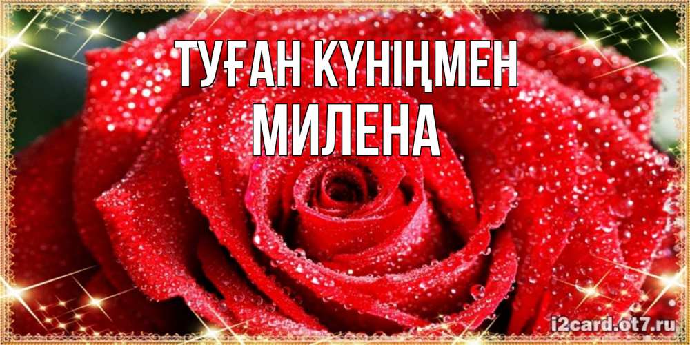 Открытка на каждый день с именем, Милена Туған күніңмен роса и роза. открытка с красивой розой Прикольная открытка с пожеланием онлайн скачать бесплатно 