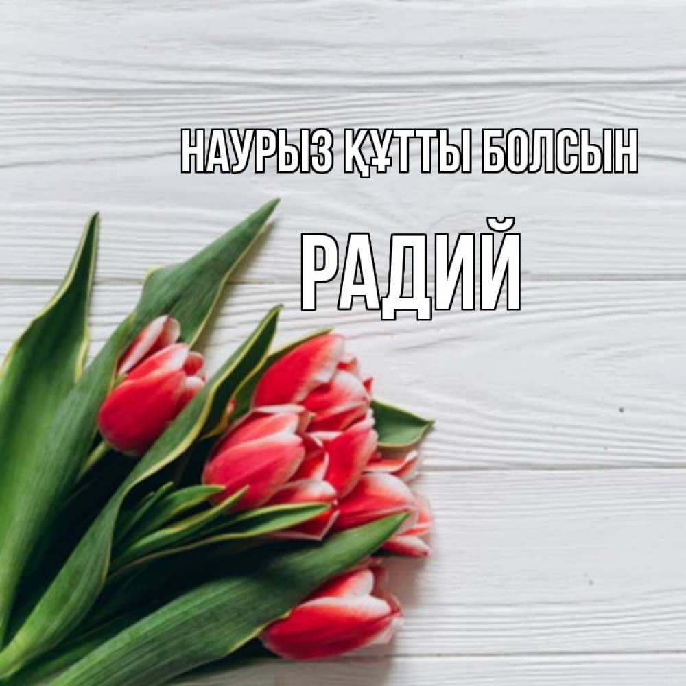 Открытка на каждый день с именем, Радий Наурыз құтты болсын весна 2 Прикольная открытка с пожеланием онлайн скачать бесплатно 