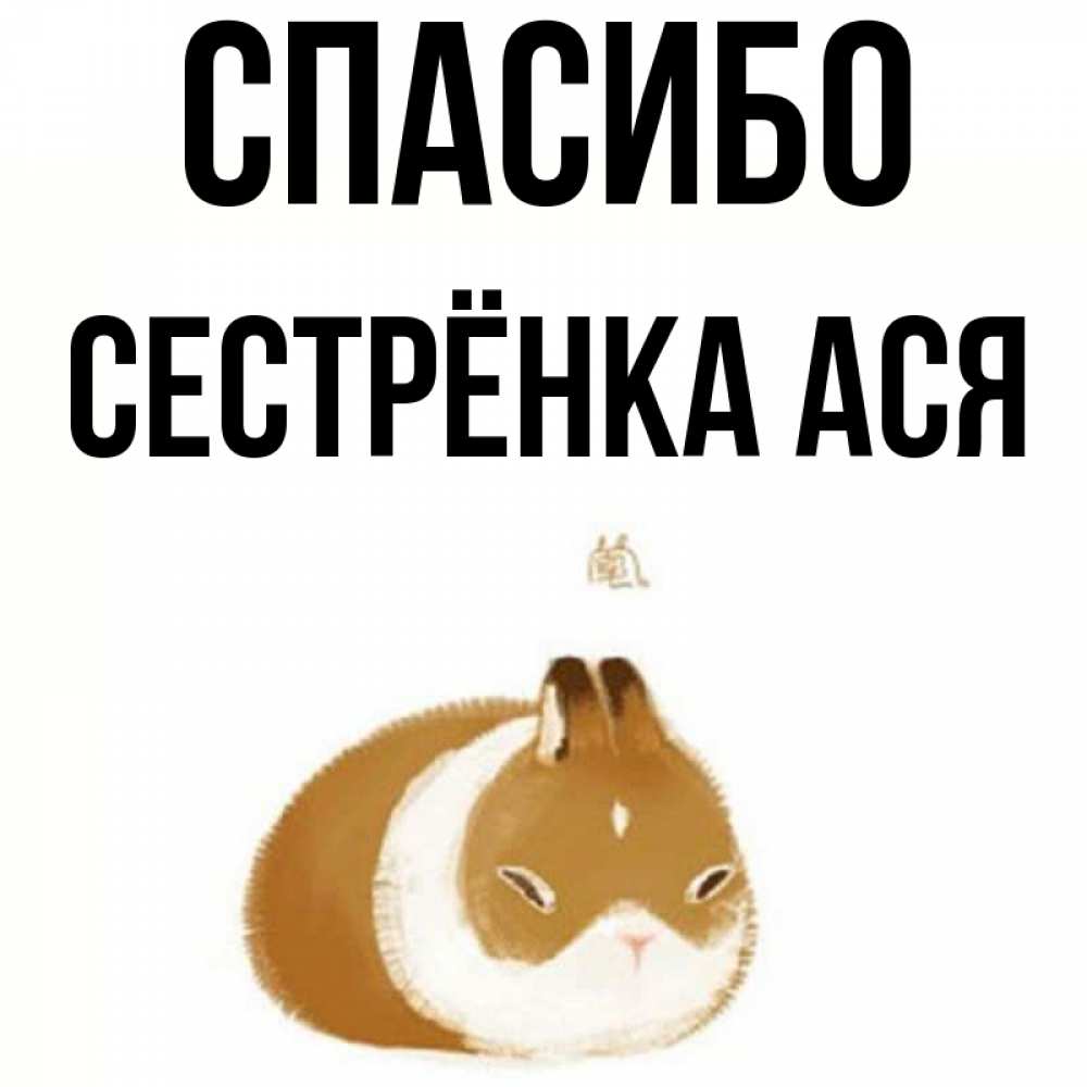 Открытка на каждый день с именем, Сестрёнка-Ася Спасибо коричнево белый домашний питомец Прикольная открытка с пожеланием онлайн скачать бесплатно 