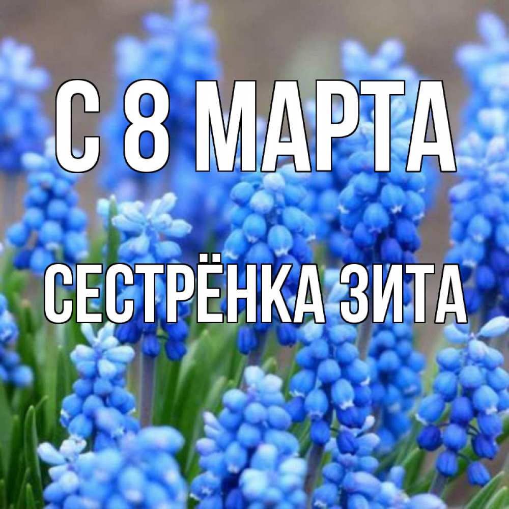 Открытка на каждый день с именем, Сестрёнка-Зита С 8 МАРТА Поздравительная открытка для женщин с цветами на праздничную дату Прикольная открытка с пожеланием онлайн скачать бесплатно 