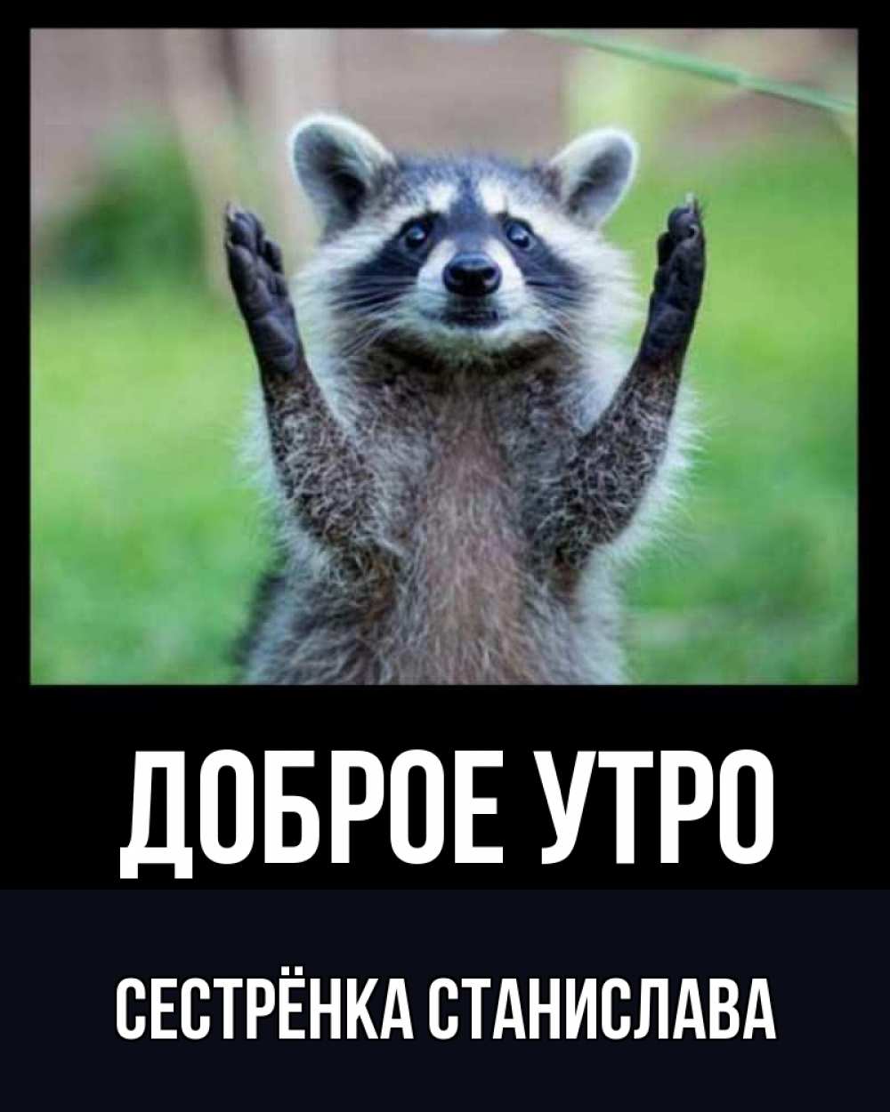 Открытка на каждый день с именем, Сестрёнка-Станислава Доброе утро хорошее настроение утречком Прикольная открытка с пожеланием онлайн скачать бесплатно 
