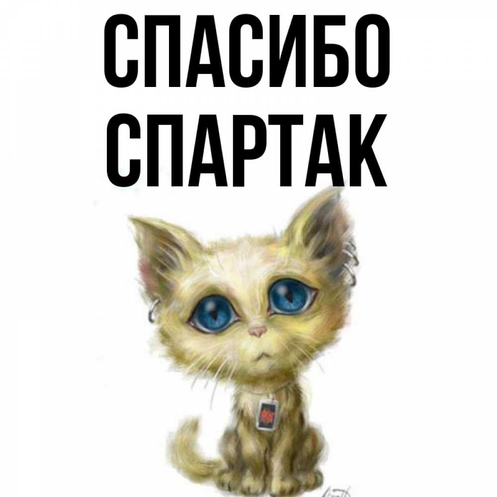 Открытка на каждый день с именем, Спартак Спасибо рисованный кот благодарит вас Прикольная открытка с пожеланием онлайн скачать бесплатно 