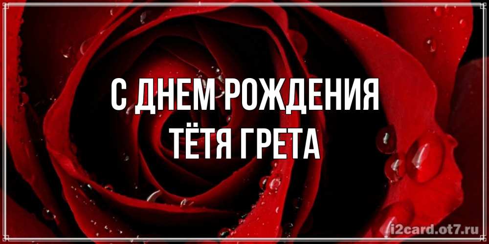 Открытка на каждый день с именем, Тётя-Грета С днем рождения крупная бордовая роза Прикольная открытка с пожеланием онлайн скачать бесплатно 